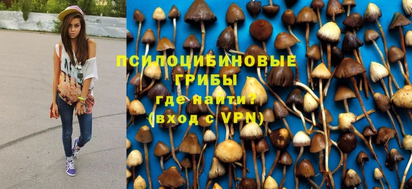 мескалин Арсеньев