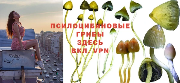 гидропоника Аркадак