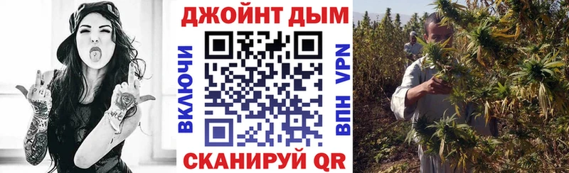 купить наркоту  Аркадак  Бошки марихуана сатива 